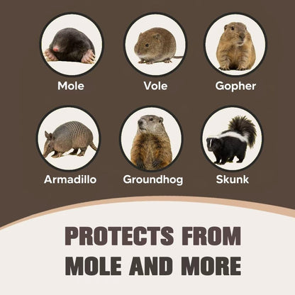 Mole Repellent for Lawns, Groundhog Repellent Outdoor, Armadillo Repellent, Mole Deterrent for Yard, Vole Repellent Outdoor, Gopher Repellent, Safe for Family & Pets, 10 Packs